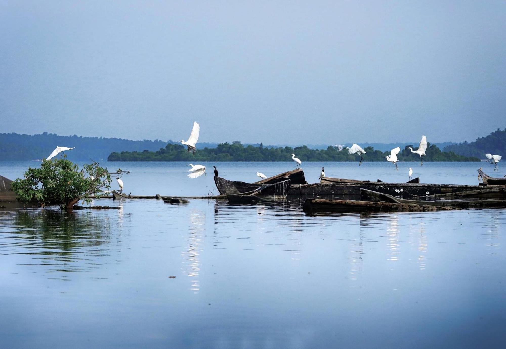 Appartamento Prakruthi Residency Munroeisland Mundrothuruth Esterno foto